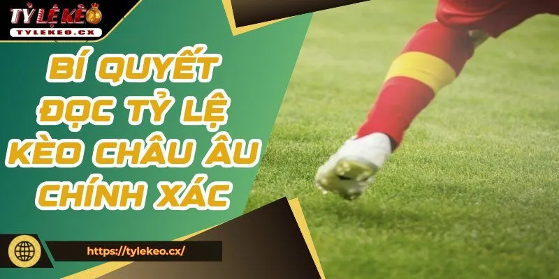 Chuyên gia chia sẻ bí quyết đọc tỷ lệ kèo châu Âu chính xác
