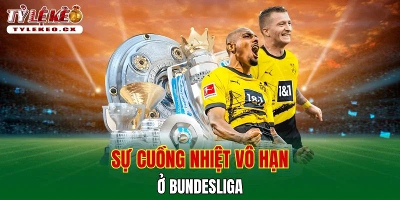Sự cuồng nhiệt vô hạn ở Bundesliga